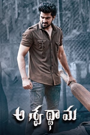Aswathama 2020 ( – Telugu) Dual Audio | Hindi Full Movie UnCut HDRip 340MB